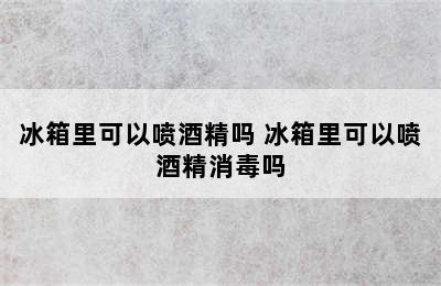 冰箱里可以喷酒精吗 冰箱里可以喷酒精消毒吗